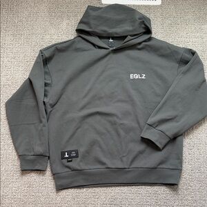 Eqlz Men's Gray Hoodie